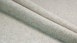 Ovis 81